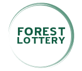 Forest Lottery